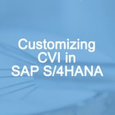 Customizing Customer-Vendor Integration in SAP S/4HANA