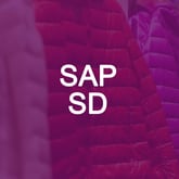 SAP SD Learning Journey