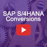 SAP S4HANA Conversions QA Square