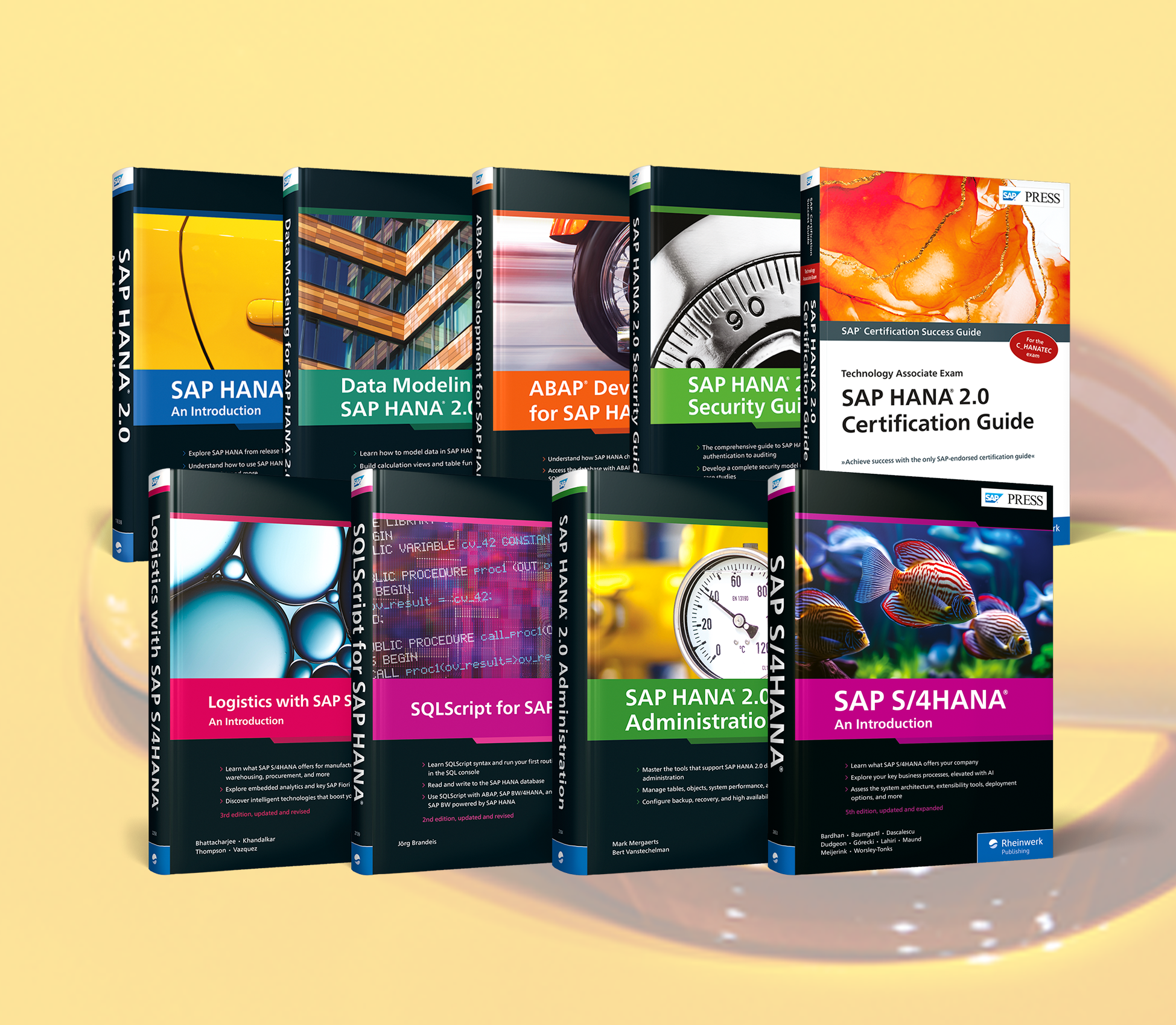SAP HANA Books SAP HANA Books